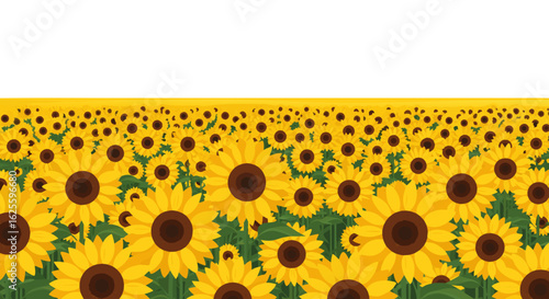 Endless Bloom: A vibrant sunflower field illustration creating a cheerful and summery aesthetic representing abundance and natural beauty
