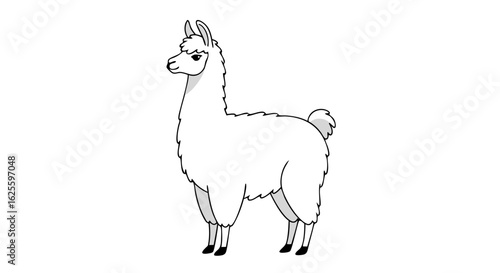 Stylized Illustration of a Graceful Llama Standing Calmly on a White Background