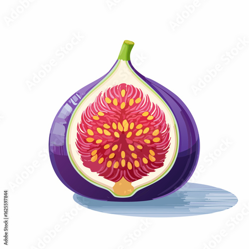 Artistic rendering of a halved fig showcasing vibrant interior and detailed texture illustration