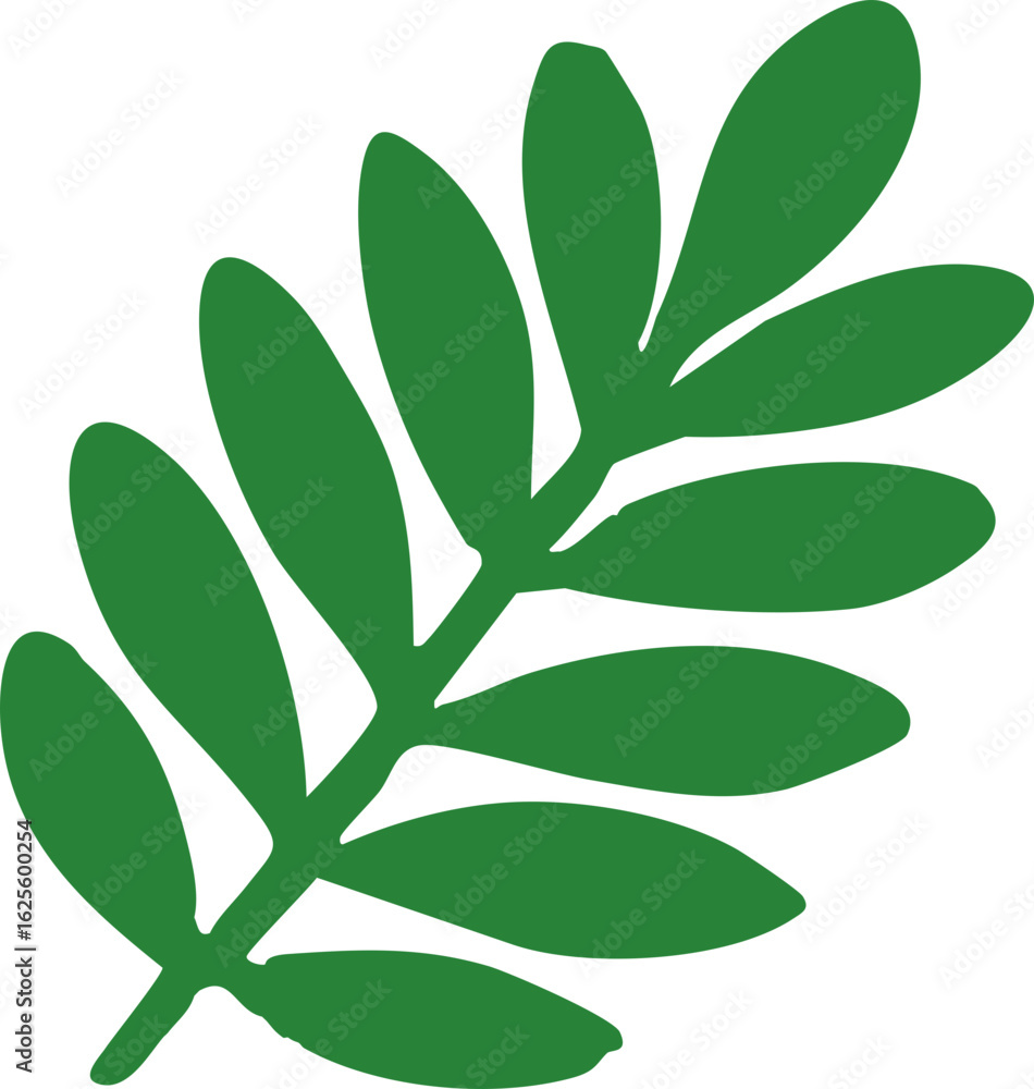 Naklejka premium Tropical Natural Leaf Illustration, Isolated Background. Soft and Sleek Green Botanical Shape, Nature-Inspired Decorative Design