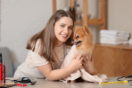 Female groomer wiping Pomer...