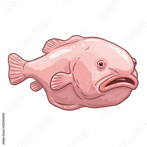 Cute Pink Blobfish Cartoon Illustration of a Unique Deep Sea Fish Isolated on White