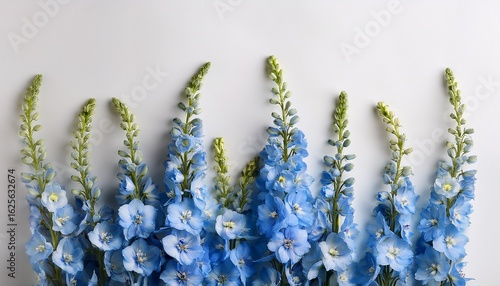 a bouquet of blue delphinium flowers arranged vertically against a light background