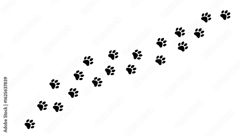 Paw prints trail across a bright surface, perfect for animal lovers and creative designs needing a fun touch Paw prints trail across a bright surface, perfect for animal lovers and creative designs needing a fun touch