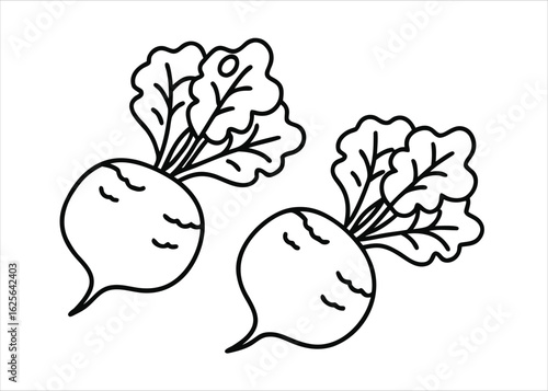 Detailed black and white outline scratch art illustration of root vegetables with a vintage engraving style and hand drawn aesthetic
