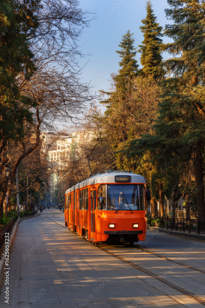 Obraz premium bus on the road