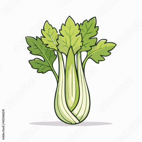 Fresh celery stalk illustration with vibrant green leaves on a white background