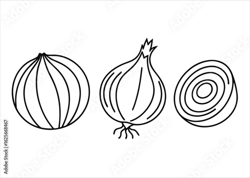 Single line art drawing of an onion in a continuous flowing style with minimalist detail and artistic flair