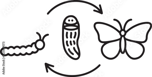 Butterfly Life Cycle Vector Illustration Showing Metamorphosis Stages