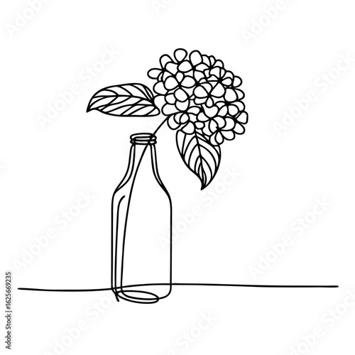 Line art of a flower beautiful hydrangea in a glass bottle  