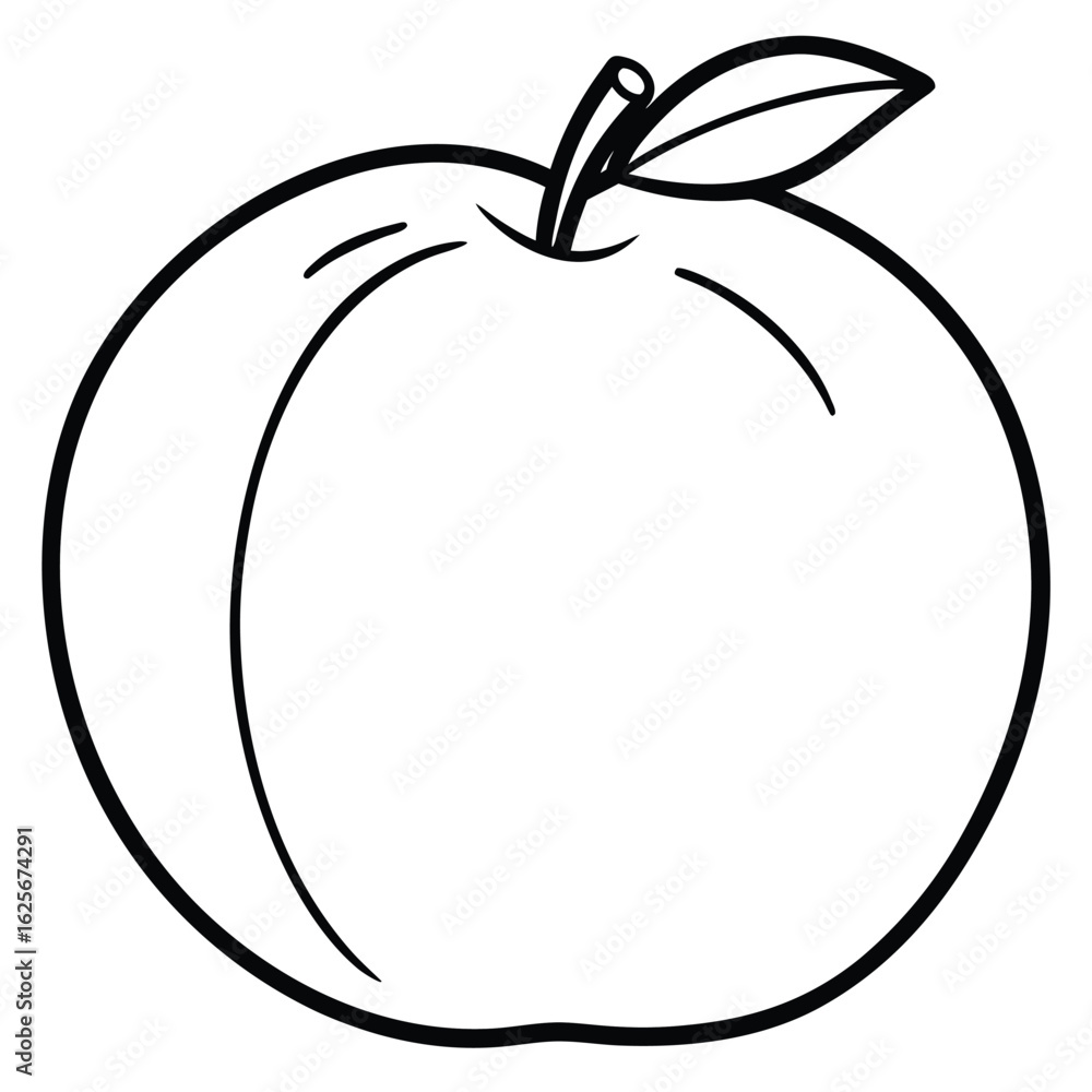 vector illustration of an peach vector illustration of an peach