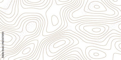 Abstract topographic Contour Map Subtle White Vector Background . Blank Detailed topographic patter line map background .Topographic Map Of wild west Abstract Vector Background.