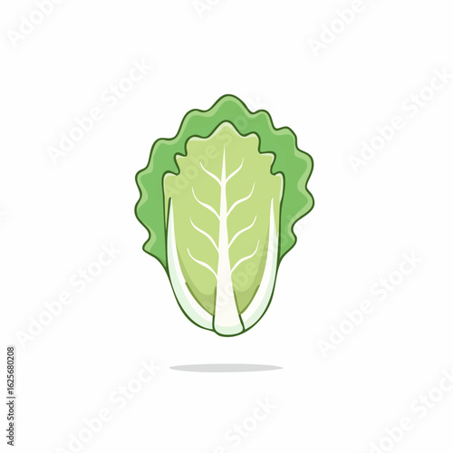 Vibrant depiction of a napa cabbage with playful cartoon illustration style