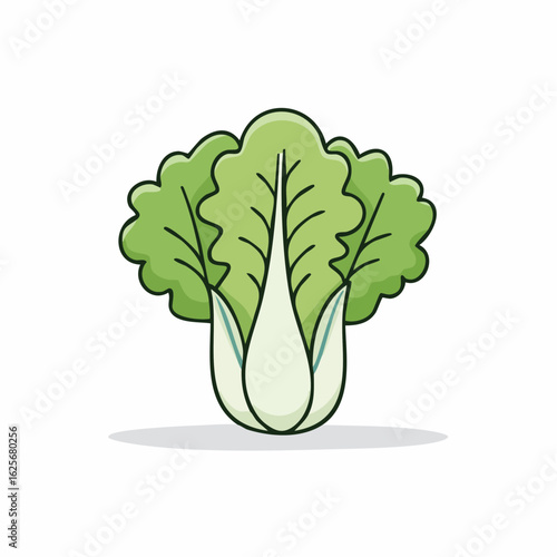 Illustration of fresh green bok choy: a vibrant addition for a healthy diet