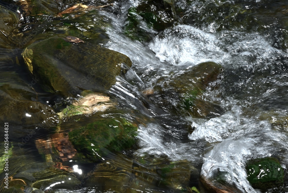 Obraz premium The power and beauty of water movement. Natural beauty background material.