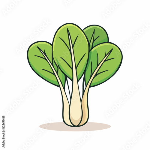 Cartoon illustration of a healthy and fresh bok choy vegetable ready to use