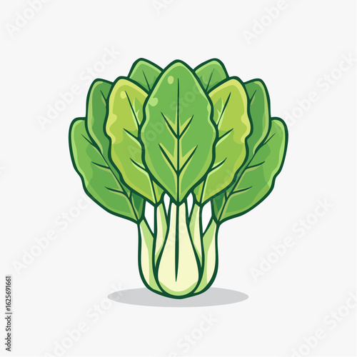 Fresh bok choy illustration showcasing vibrant green leaves and crisp white stalks