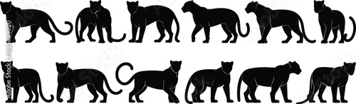 Majestic Big Cat Silhouette Collection: Black Panthers, Leopards, Jaguars, Wild Felines in Various Poses, African Wildlife, Jungle Animals, Predatory Grace, Nature, Power, Exotic Mammals