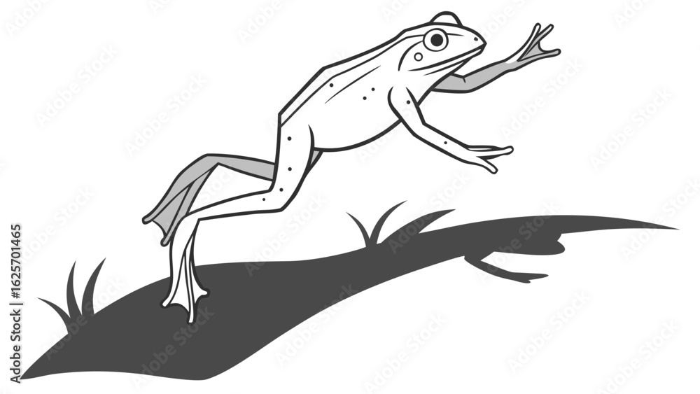 Fototapeta premium Illustration of a frog jumping over grass with a shadow cast on the ground in black and white style