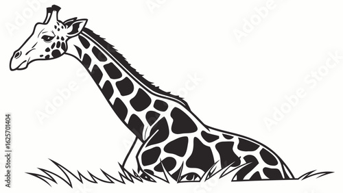 A black and white illustration of a giraffe sitting in the grass with its long neck extended forward