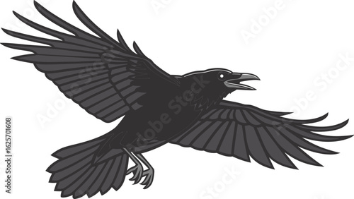 A black crow soars through the air with its wings spread wide and beak open in a caw on white