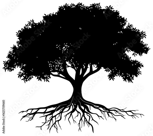 Banyan tree silhouette drawing