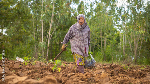 Fotografia Woman farming in daylight