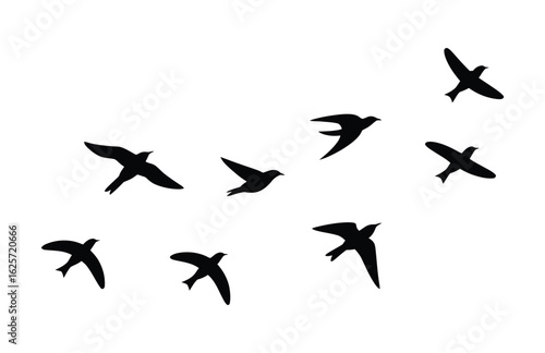 Black Bird Silhouettes Flying in a Group Vector Illustration