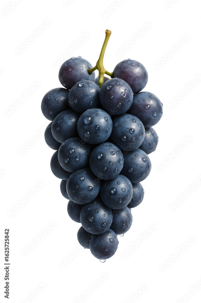 Fototapeta premium A bunch of dark grapes glistening with water droplets on a black background