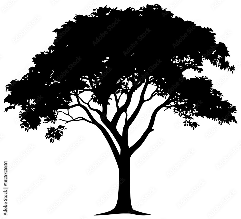Fototapeta premium Silhouette of jackfruit tree element