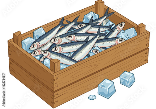 Fresh Sardines Packed in Wooden Crate with Ice.