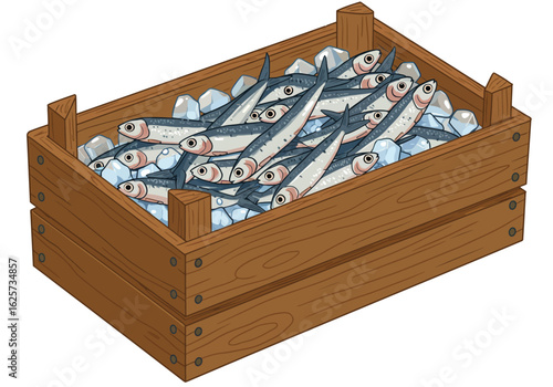 Fresh Sardines Packed in Wooden Crate on Ice.