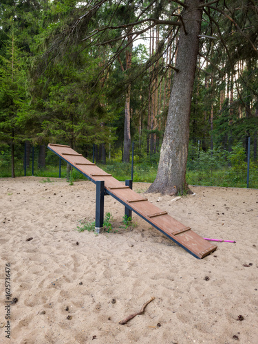 Fotografía Wooden ramp structure for dog agility training in a sandy area surrounded by tre