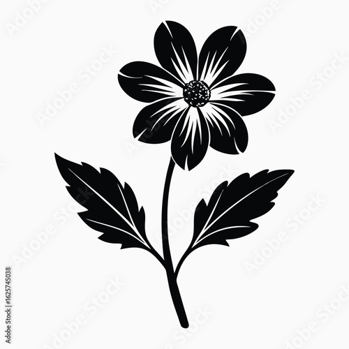 wood anemone silhouette on white background.