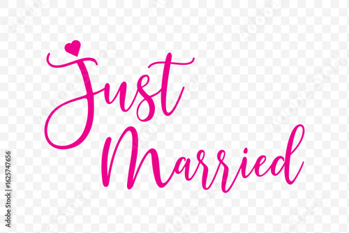 Just Married hand lettering phrase. Vector brush calligraphy text design isolated on white background.