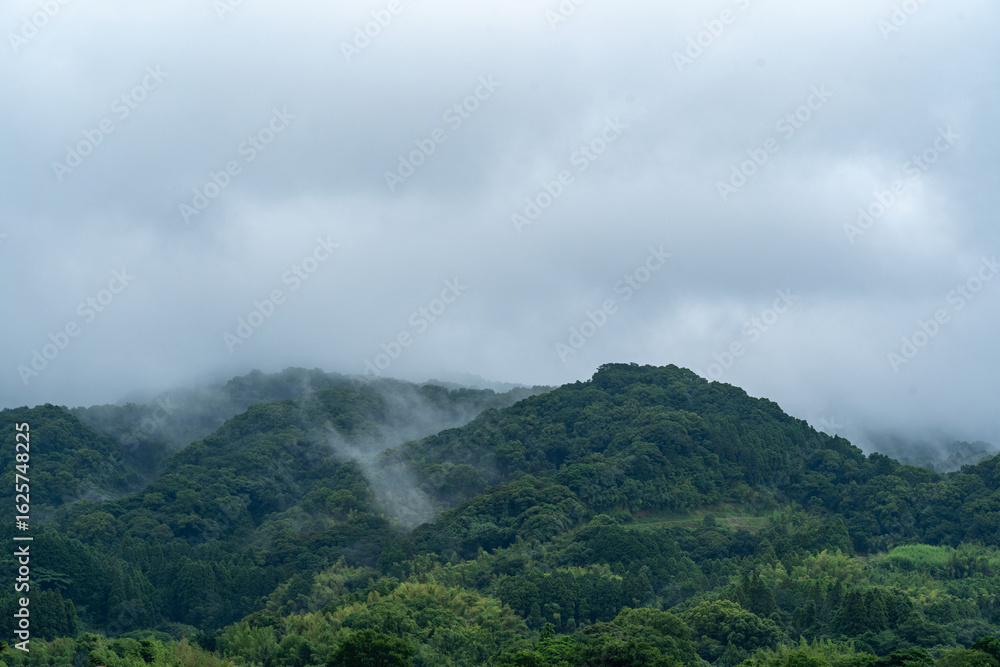 朝霧の森と山 朝霧の森と山