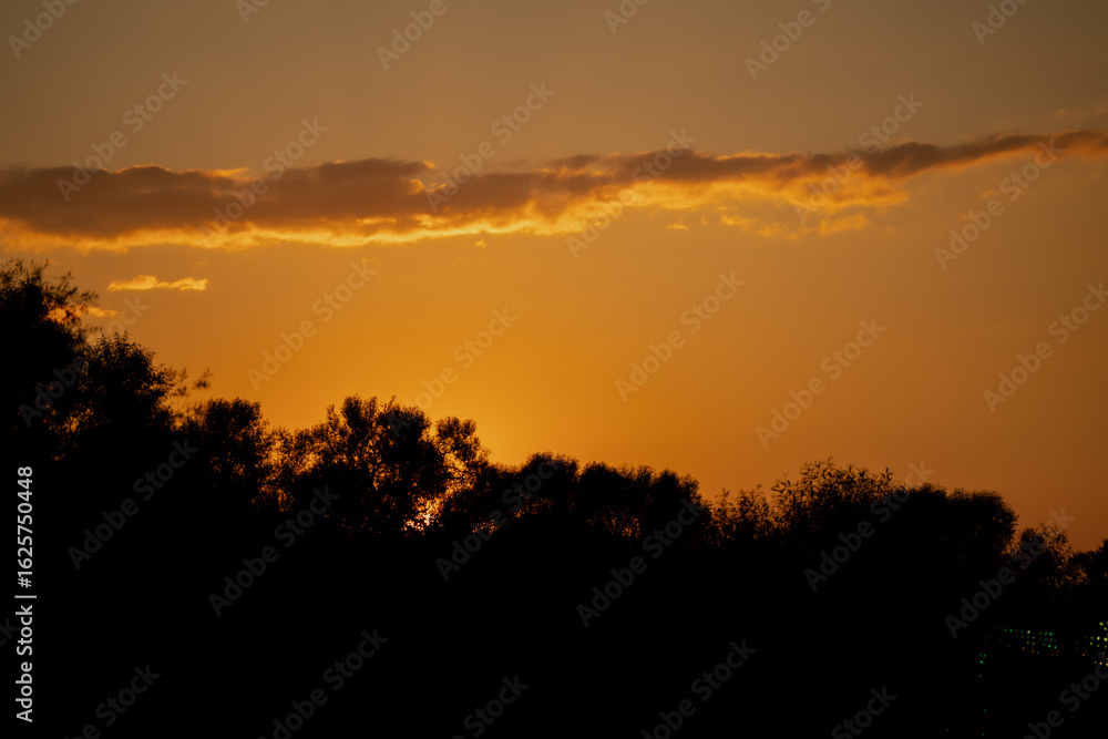Golden sunset over treetops with warm glowing sky and soft cloud line, peaceful nature background ideal for themes like evening light, twilight, landscape, relaxation or atmospheric mood Golden sunset over treetops with warm glowing sky and soft cloud line, peaceful nature background ideal for themes like evening light, twilight, landscape, relaxation or atmospheric mood