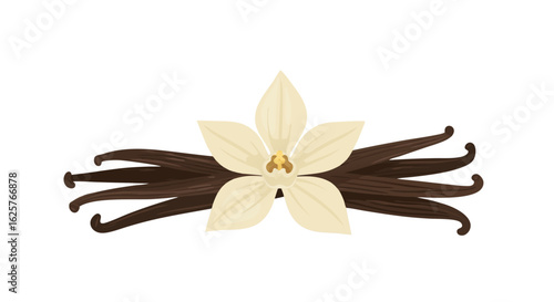 Detailed Artistic Depiction of Vanilla Bean Pods with its Pale Creamy Floral Blossom Delicate Fragrance and Deep Flavor Profile Illustration 150