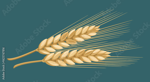 Golden Harvest: A Detailed Illustration of Ripe Wheat Stalks on a Teal Backdrop, Symbolizing Agriculture and Natural Abundance