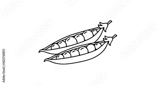Elegant monochrome outline illustration of garden peas in pods ideal for educational content and product presentation demonstrating fresh produce