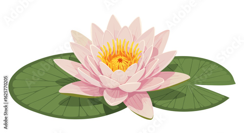 Elegant lotus flower illustration showcasing serene pink petals and vibrant yellow stamen delicately resting atop two verdant lily pads