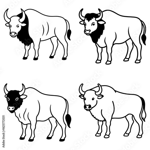Illustration showcasing four distinct bison variations in a black and white line art design style