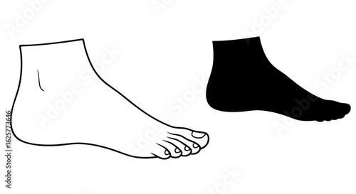 Contrast and Contour: Visualizing the Human Foot in Outline and Silhouette Depiction