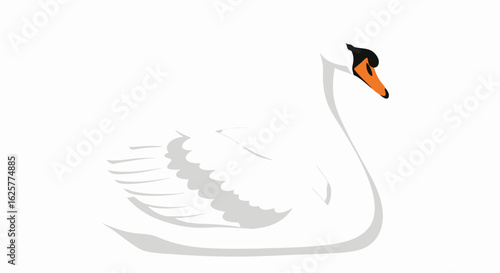 Elegant Swan Illustration on Plain Background Showcasing Graceful Waterbird and Clean Aesthetic Design