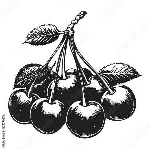 Wallpaper Mural cherry with leaves fruit flat icon vector Torontodigital.ca