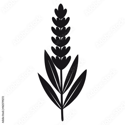 Elegant Lavender Sprig Botanical Illustration