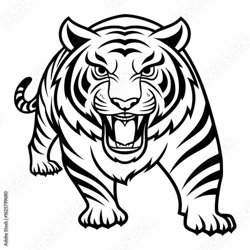 Aggressive tiger roaring with mouth open in a black and white illustration teeth
