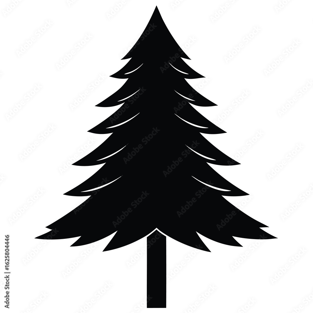 Fototapeta premium Silhouette of a Tall Evergreen Pine Tree