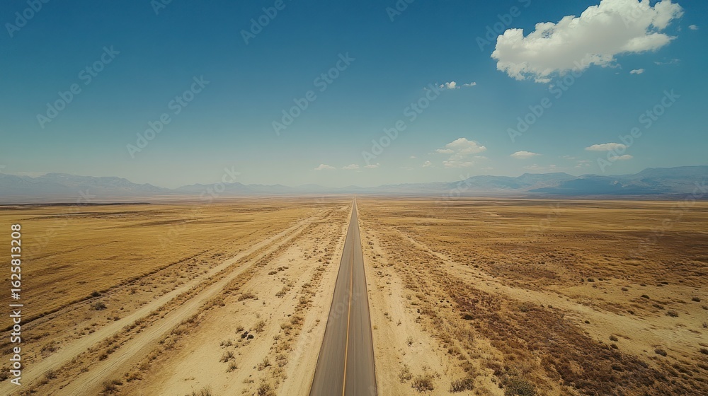 Fototapeta premium Empty Road Across Desert