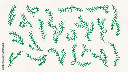 Coniferous Tree Branch Set. Hand drawn curly twigs and sprigs for Christmas decor. Sketch botanical elements. Holiday plants. Vector illustration